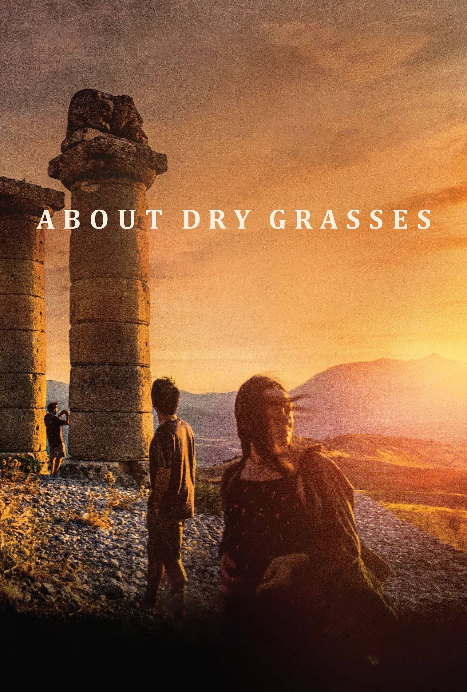 About Dry Grasses poster
