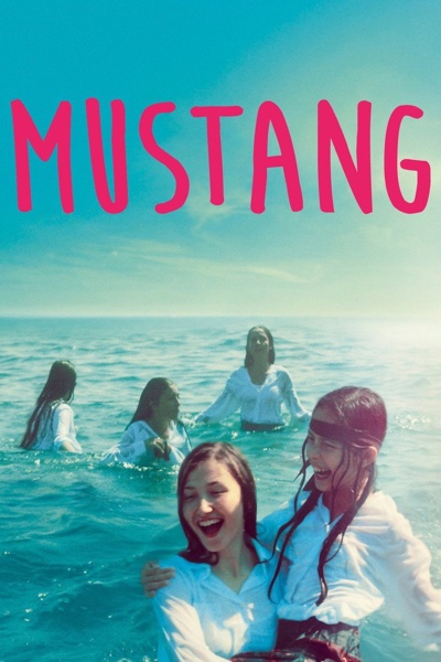Mustang poster