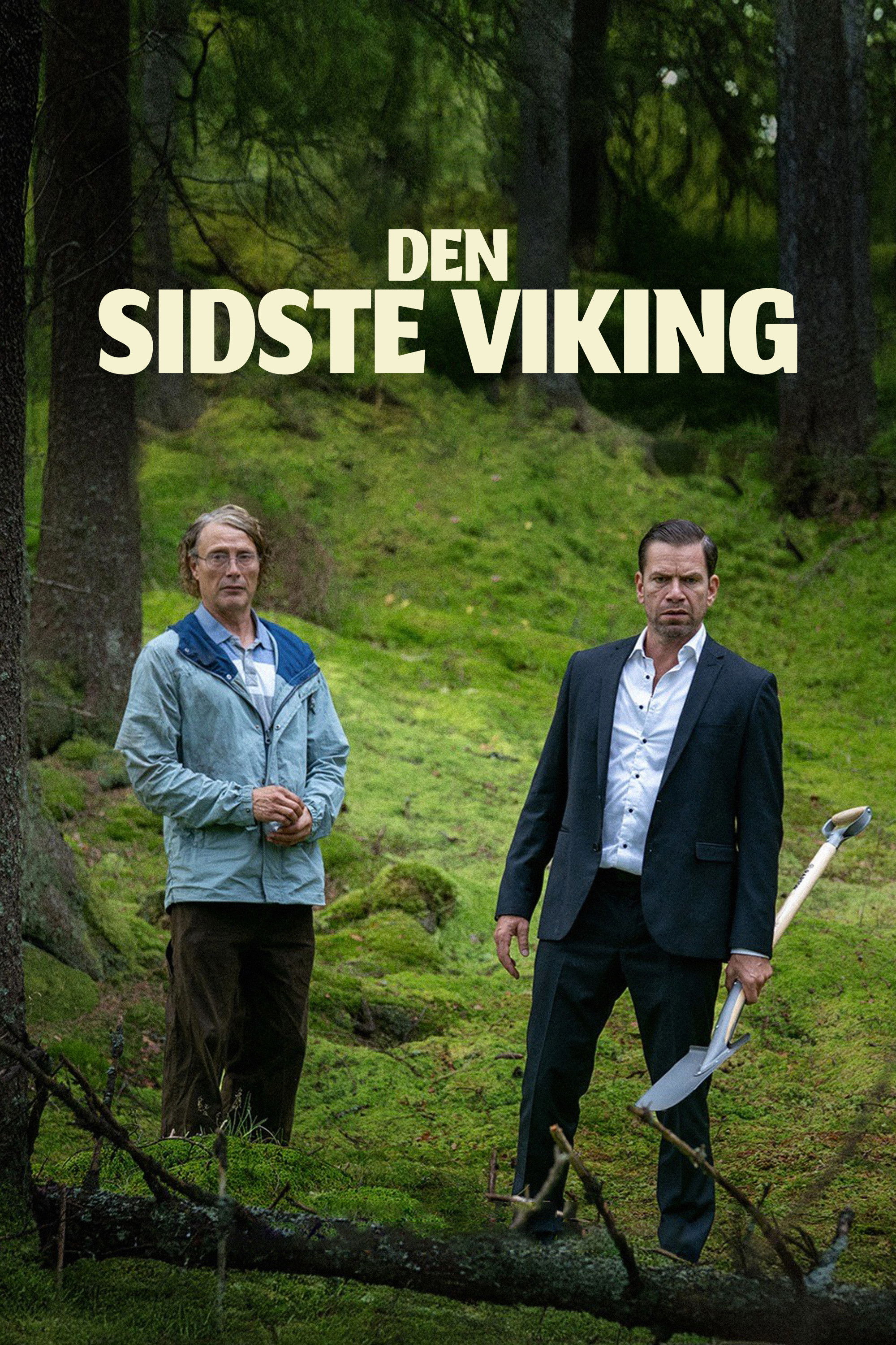 The Last Viking poster
